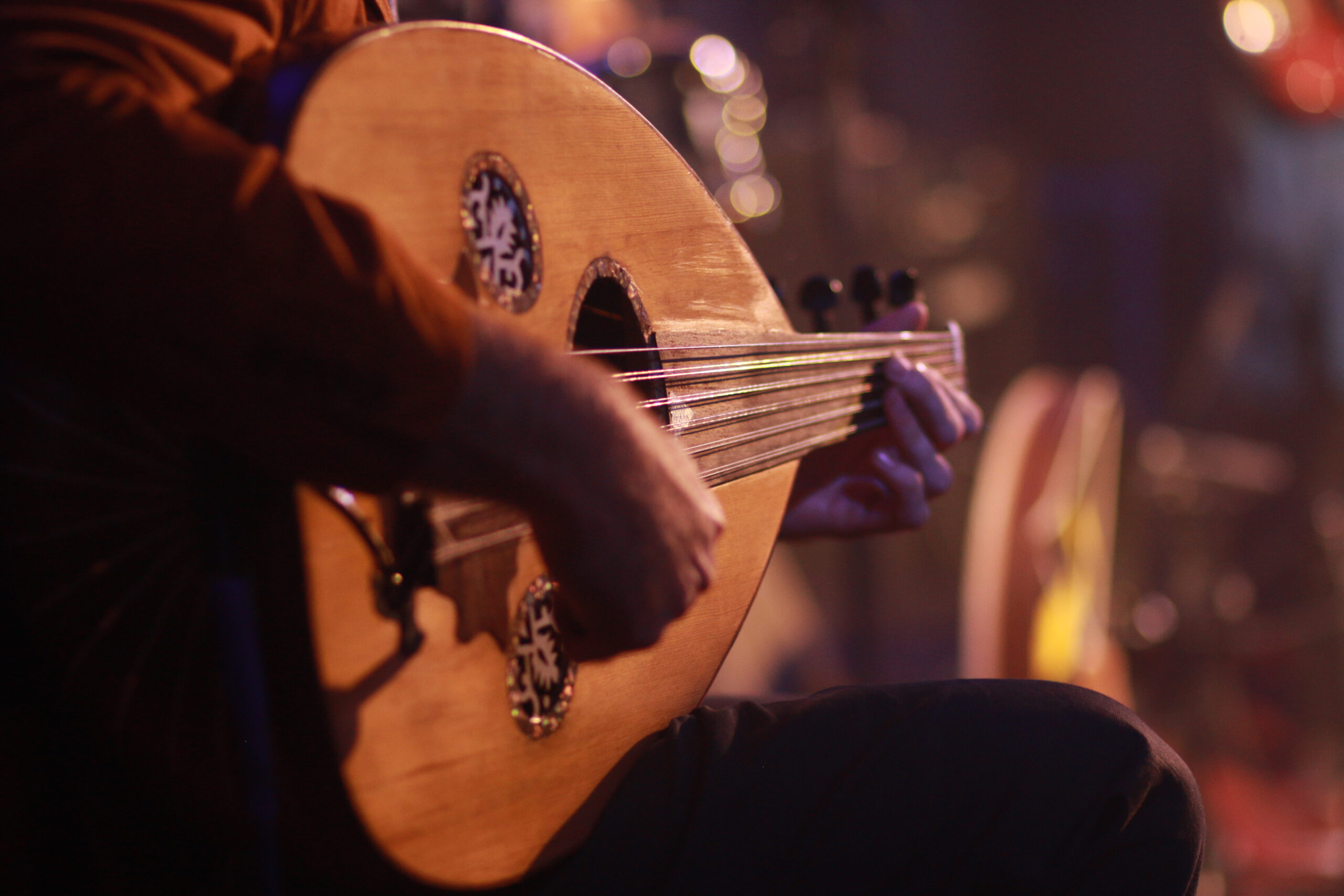 Musician playing the Oud