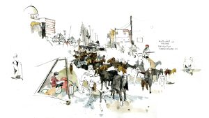 Visual Storytelling and the Human Side of Conflict