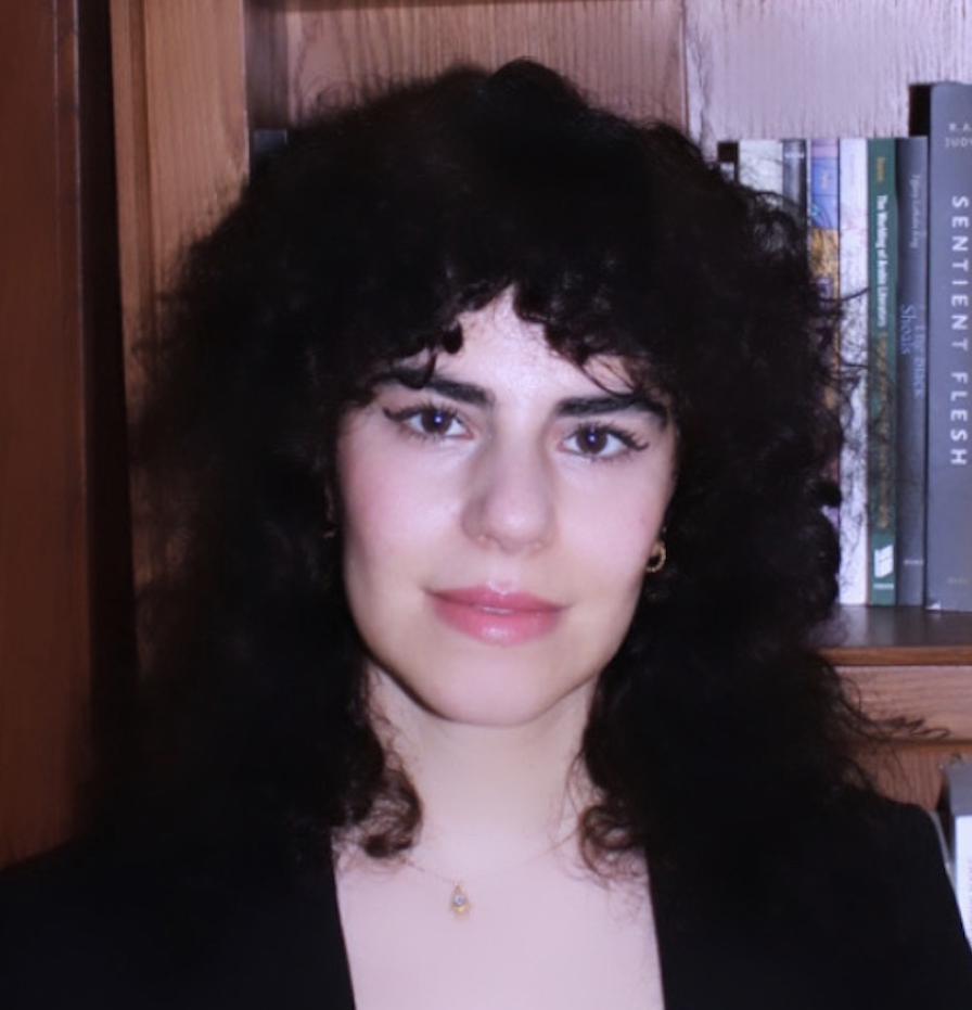 Hanan Al-Alawi, Assistant Professor in Gender and Women's Studies UW-Madison