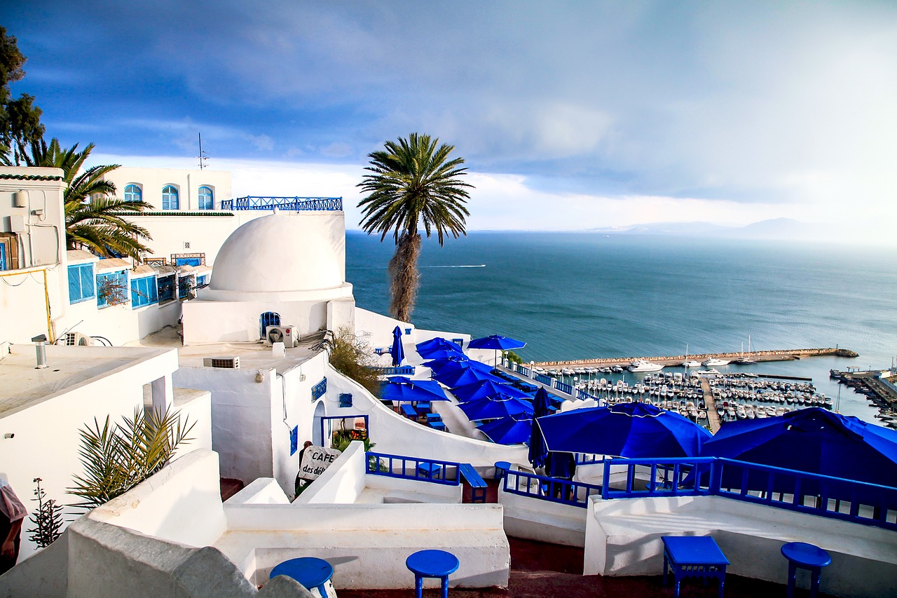 The Malek Sghiri Scholarship to Study Arabic in Tunisia